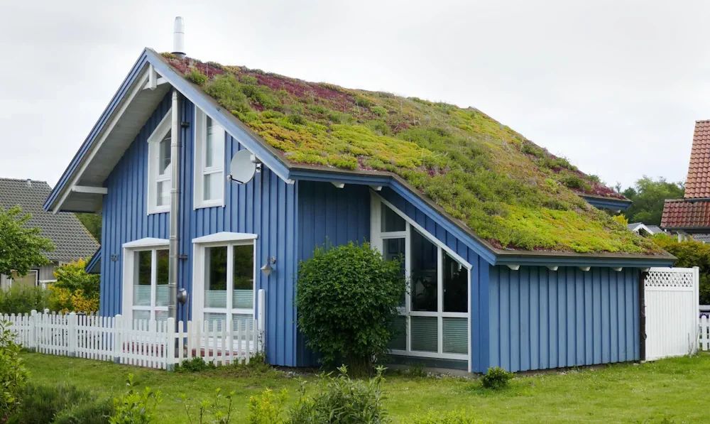Läs mer om artikeln Skapa ett grönare hem med gröna tak